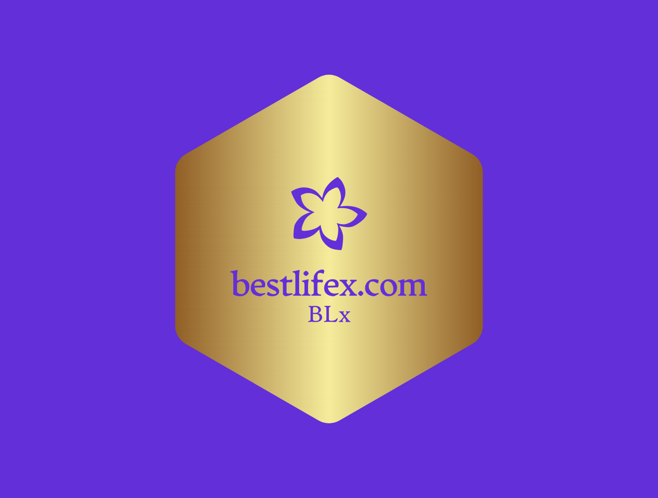 bestlifex.com